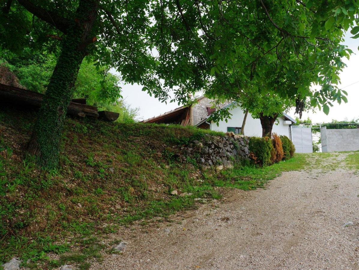 Old House Kontic Daire Nikšić Dış mekan fotoğraf