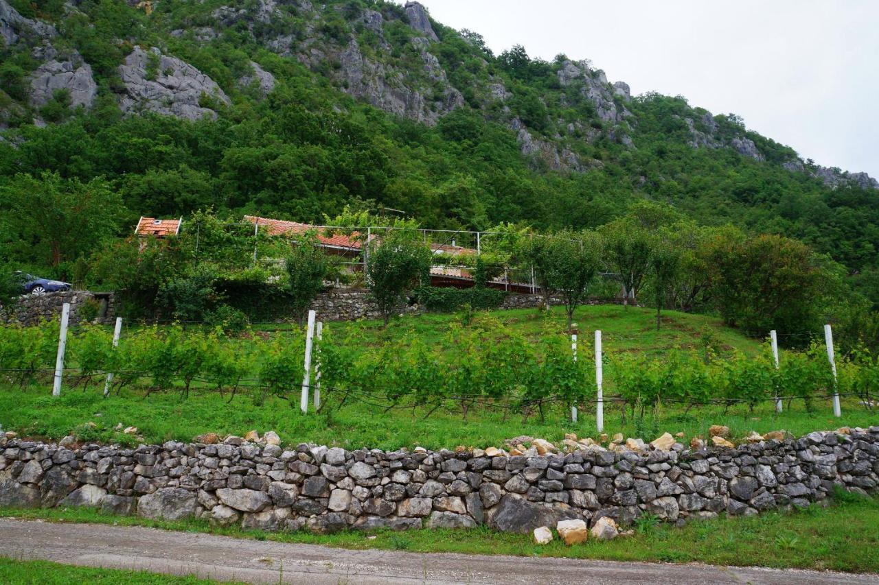 Old House Kontic Daire Nikšić Dış mekan fotoğraf